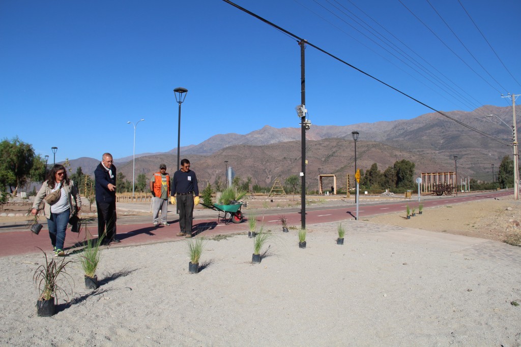 Alcalde y Puente Cimbra 2