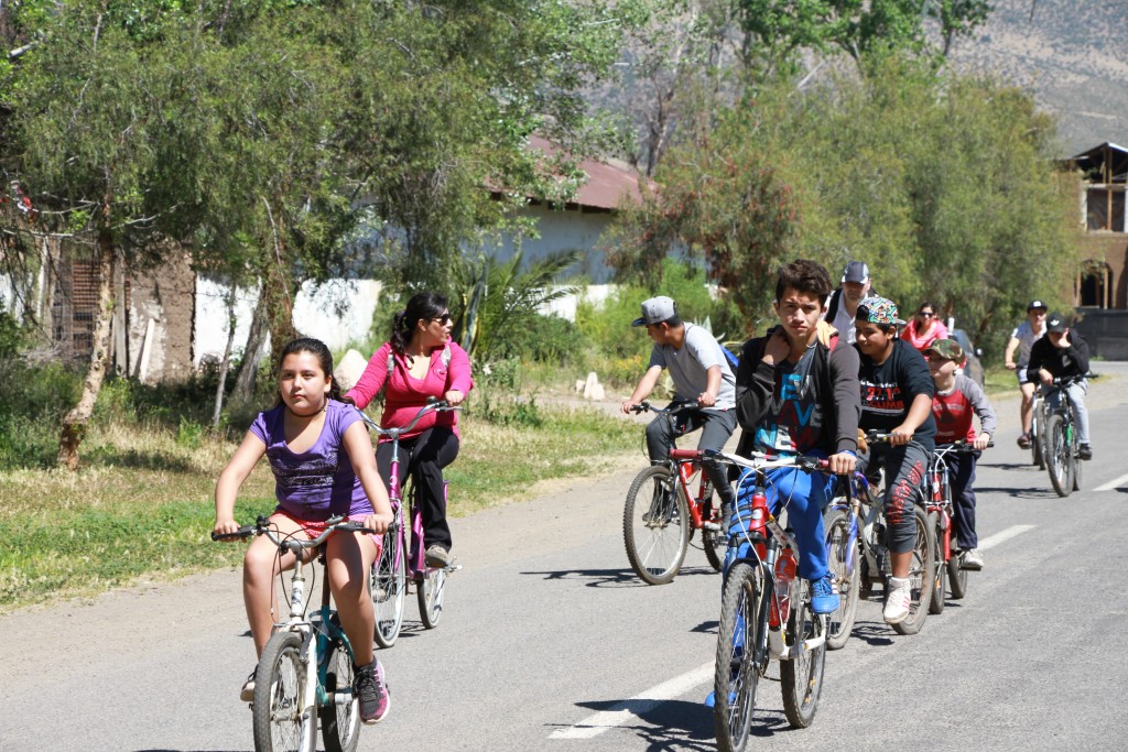 Cicleta Patrimonial 1