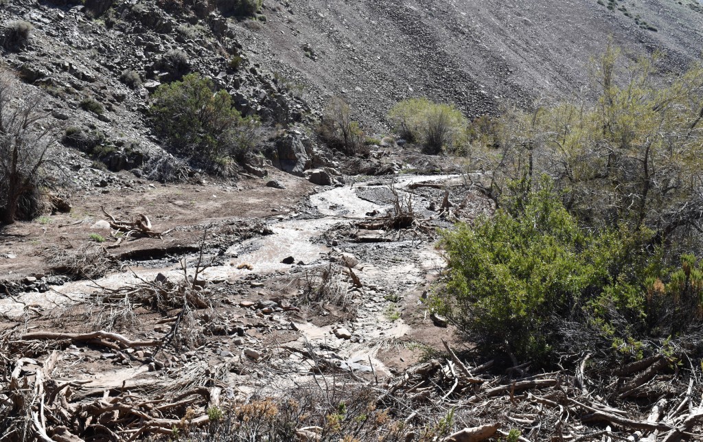 Estero Chalaco 1