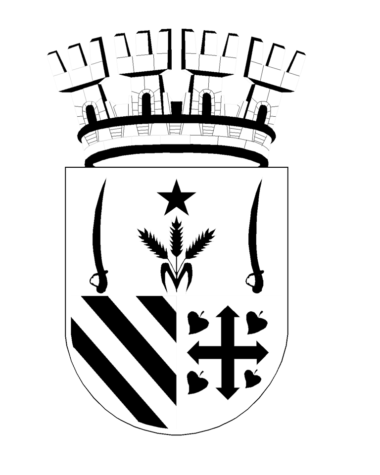 Insignia Muni Putaendo
