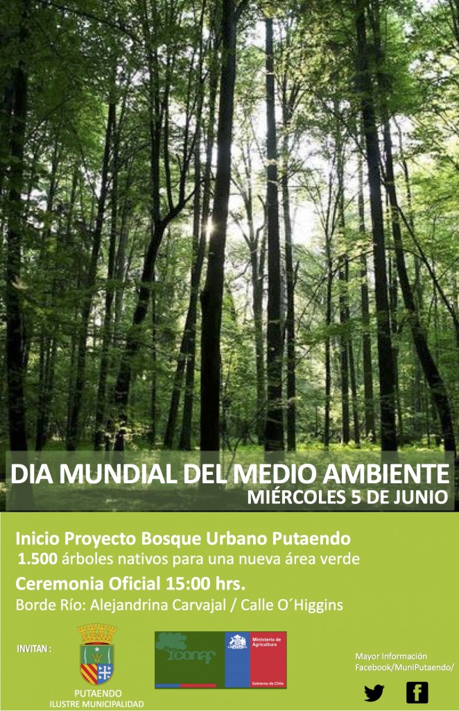 flayer día del medio ambiente