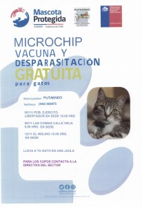 VETERINARIA